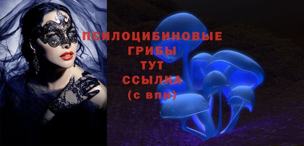 первитин Бородино