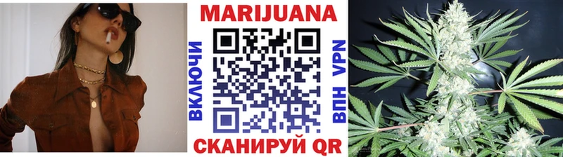 Купить где Балей Конопля планчик